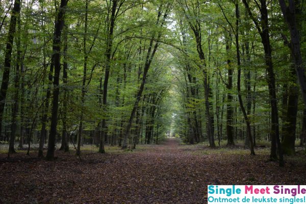 Wandelen