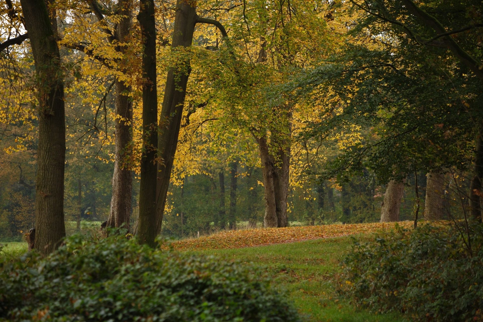 Single activiteiten Gelderland