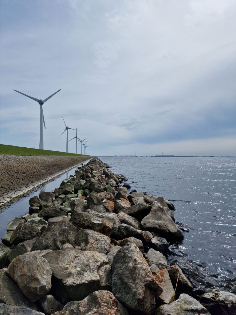 Single activiteiten Flevoland