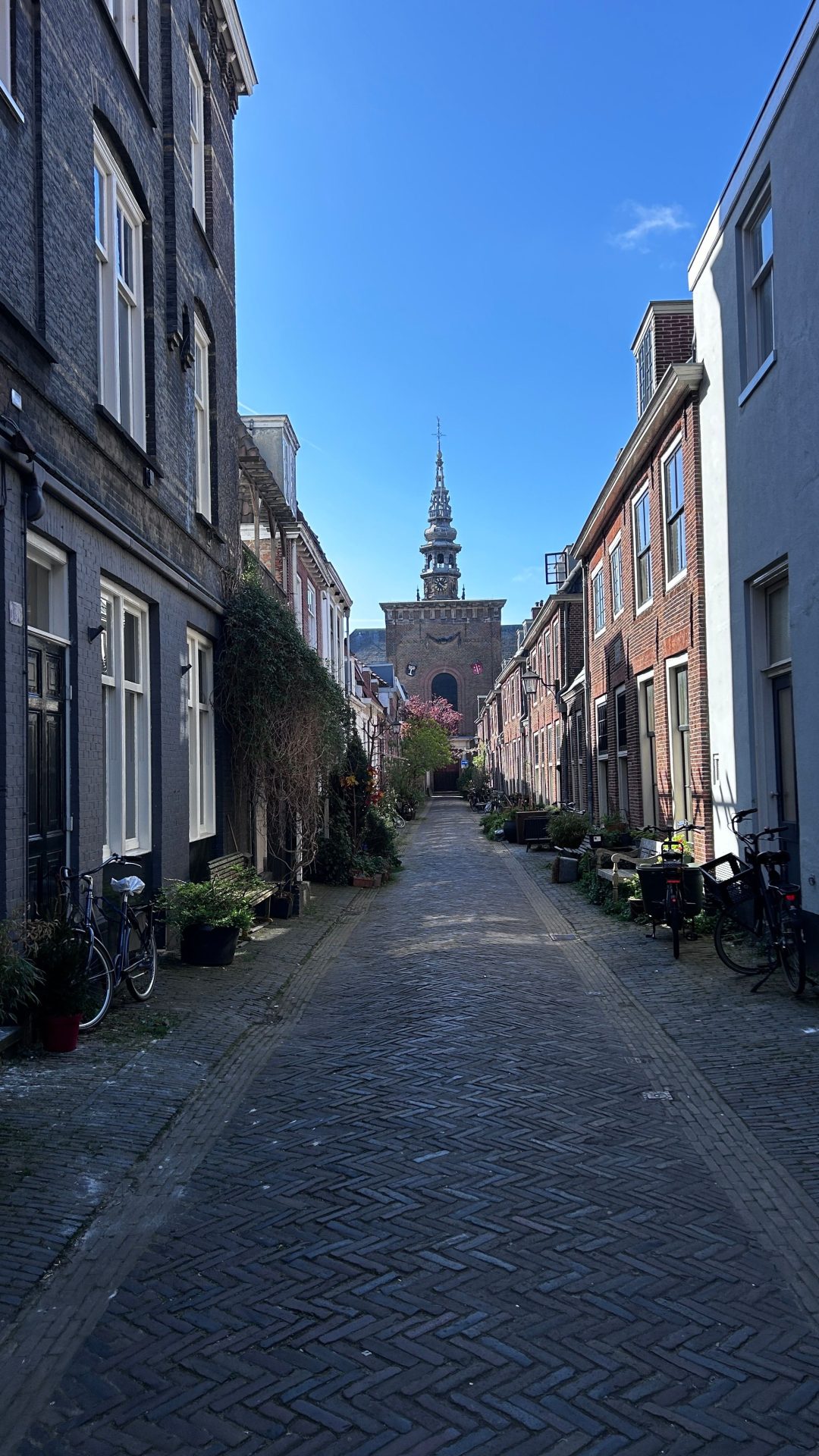 Singles ontmoeten Haarlem