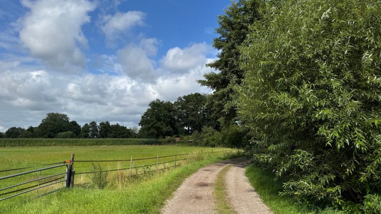 Hengelo 768x432