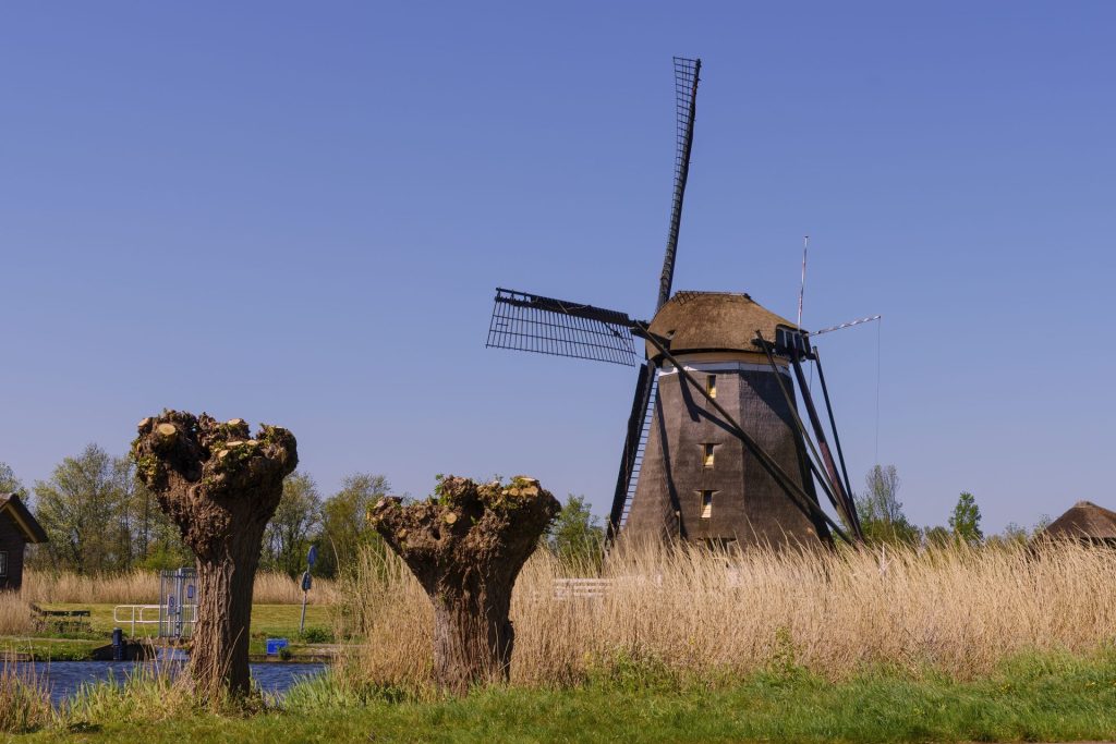 Wandelen door de Eilandspolder