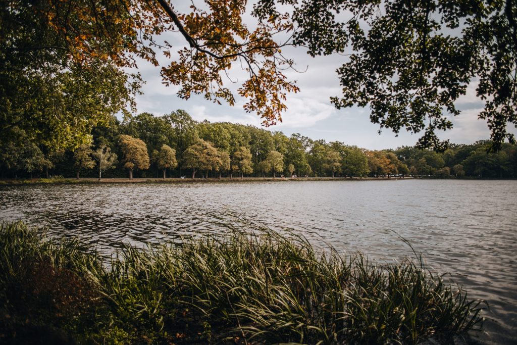🌿 Single wandeling bij de Wijthmenerplas – Zwolle