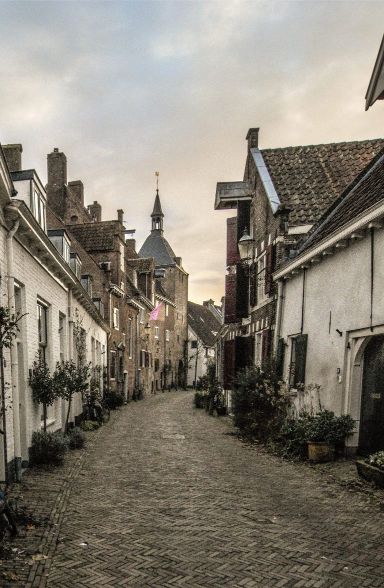 Pexels waltersmeijers 19520982 768x1175