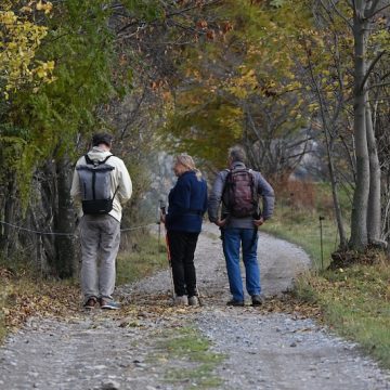 Wandelen Zoeterwoude Boerenlandpad de Balkengatroute; geannuleerd wegens weersomstandigheden